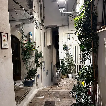La Casa Di Roro Feriehus